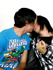 Phoenix Link pounds emo Leo