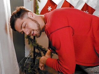 Stepbrother Fucked on Christmas