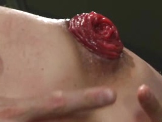 A bud of rose