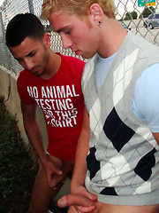 I\\\\\\\'ll show you mine by Gay Revenge image #6