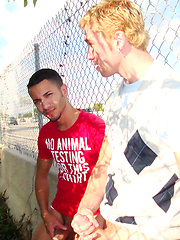 I\\\\\\\'ll show you mine by Gay Revenge image #6
