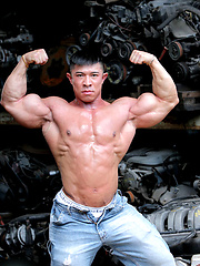 Muscled asian man Daryl Gee posing by Muscle Gallery image #6