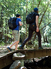 A hitchhiker gets taken and violated in the woods by the creepy janitor. by Bound Gods image #11
