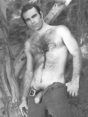 Hairy mature hunk posing naked. Colt vintage pics. by Colt Studio image #7