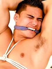 Hot stud Topher DiMaggio by Bound Jocks image #7