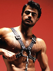 Hairy muscle hunk Mike Pereyra by Colt Studio image #5