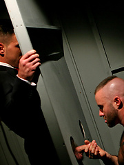Paddy's Glory. Starring Paddy O'Brian, Alec Hills and Justin King by Men at Play image #5