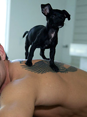 Pornstars and puppy dogs by Cocky Boys image #5