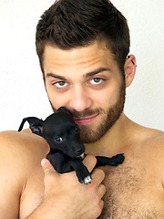 Pornstars and puppy dogs by Cocky Boys image #5
