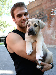 Pornstars and puppy dogs by Cocky Boys image #5