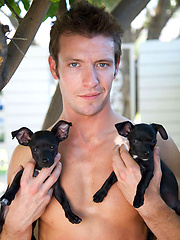 Pornstars and puppy dogs by Cocky Boys image #5