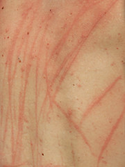 Tristan Jaxx gets tied up and beaten during Bound Gods July Live Show. by Bound Gods image #6