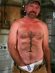 Mature bear Ford Holland by Pantheon Bear image #5