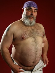 JYD by Pantheon Bear image #7