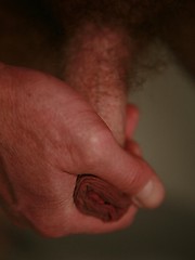 Rick Wade by Pantheon Bear image #7