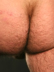 Ayre by Pantheon Bear image #8