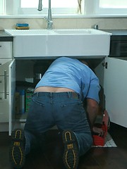 Bear Plumbing Inc - Joe and Robert by Pantheon Bear image #6