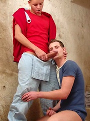 Lovely guys fucking after sucking by Czech Boys image #5
