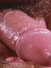 Vintage porn pics - Frank Vickers and Neal Shaw by Colt Studio image #6