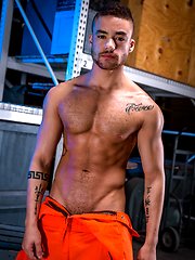 Vice. by Raging Stallion image #9