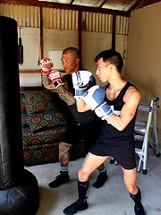 PETER FEVER KINK EPISODE 1: 'KINK BOXING' by PeterFever image #11