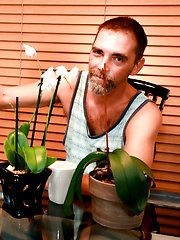Domestic Pleasures by Men Over 30 image #7