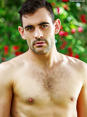 Max Arion's Bareback Double-penetration Orgy by Lucas Entetainment image #14