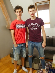 Skinny gay boys Alan Caine and Curtis Cameron fucking raw by BF Collection image #10