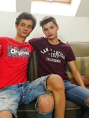 Skinny gay boys Alan Caine and Curtis Cameron fucking raw by BF Collection image #10