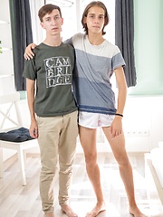 Sexy skinny boys have sex by BF Collection image #10
