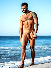 Ass-hammering Hardware Fire Island Orgy (Part 01) by Lucas Entetainment image #12