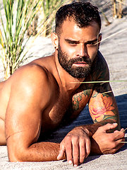 Ass-hammering Hardware Fire Island Orgy (Part 01) by Lucas Entetainment image #12