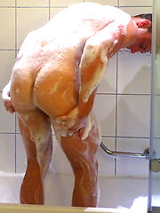 Young Stud Cameron by English Lads image #8