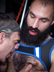 Andrex Xandrex and Dino DeFrancesco by Breed Me Raw image #10