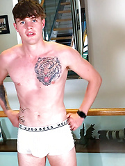 Young Straight Pup Sam by English Lads image #7