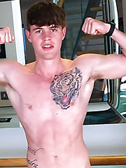 Young Straight Pup Sam by English Lads image #7
