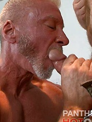 Clint Taylor and Dean Burke fuck by Hot Older Male image #12