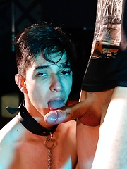 Obedient Pup Services Hung Master by Young Bastards image #14