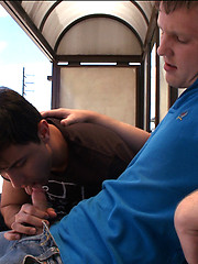 A Little gay fun by the bus stop. by Out In Public image #6