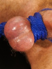 Dirk Caber bounded by Bound Jocks image #5