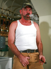 Mature bear Ford Holland by Pantheon Bear image #7