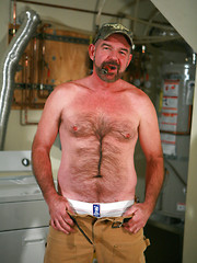 Mature bear Ford Holland by Pantheon Bear image #7
