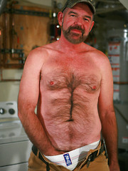 Mature bear Ford Holland by Pantheon Bear image #7
