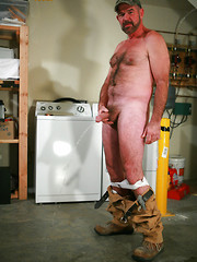 Mature bear Ford Holland by Pantheon Bear image #7