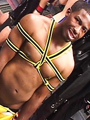 JP Richards bounded by Bound Jocks image #8