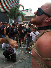 Dore Alley Pig by Bound in Public image #12
