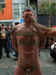 Dore Alley Pig by Bound in Public image #12