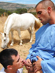 Horny stud gets his ass hole filled and fucked by Stag Homme image #12