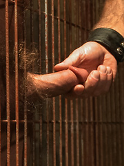 Caged and fucked like an animal by Bound Gods image #13