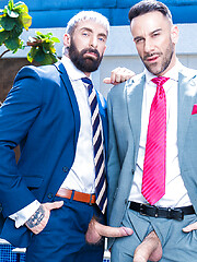 Diary of a Gigolo: Travel Companion by Men at Play image #13